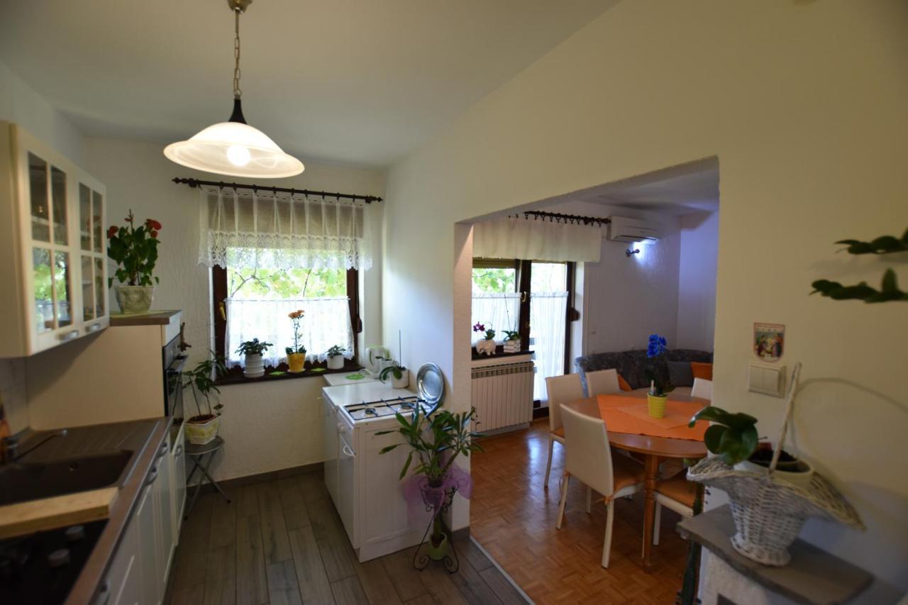 Apartments Frkovic Ledenice Exteriér fotografie