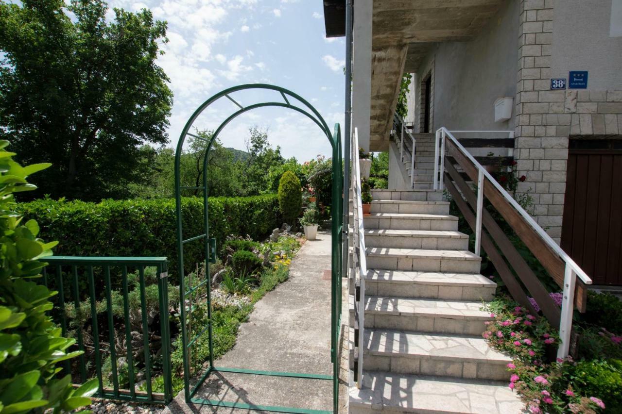 Apartments Frkovic Ledenice Exteriér fotografie