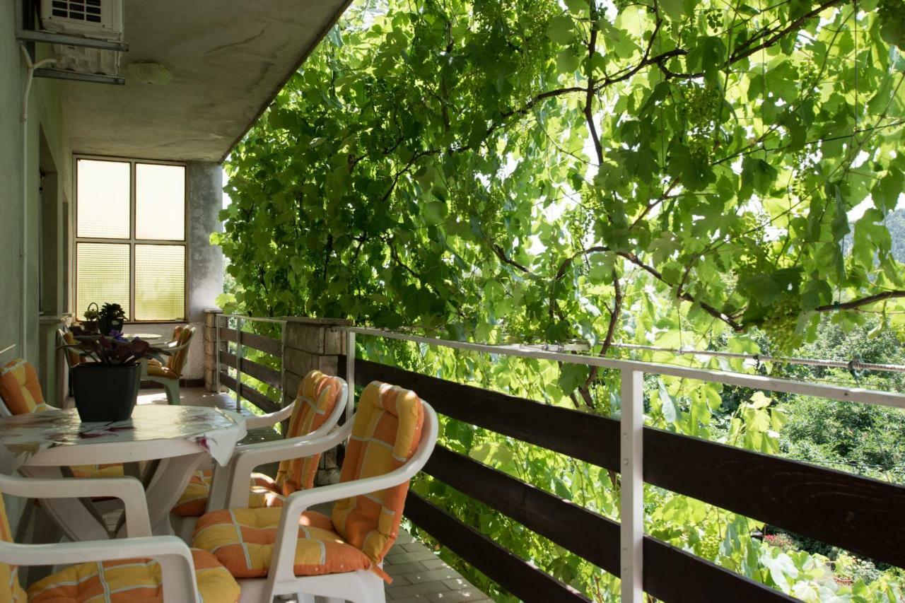 Apartments Frkovic Ledenice Exteriér fotografie